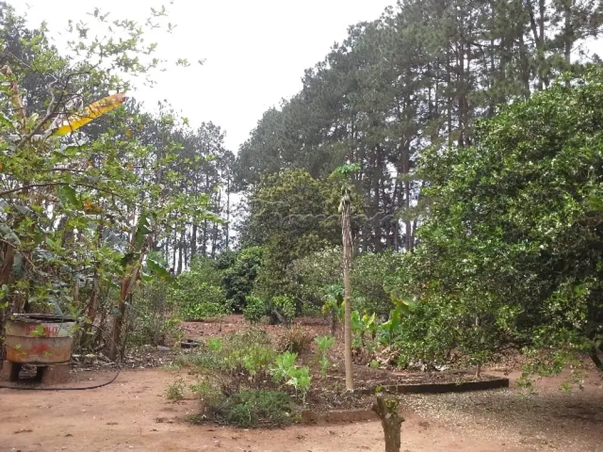 Fazenda / Haras com 2 quartos à venda, 13272m2 em Itapetininga - SP - imagem 5 Foto 5 de Fazenda / Haras com 2 quartos à venda, 13272m2 em Itapetininga - SP