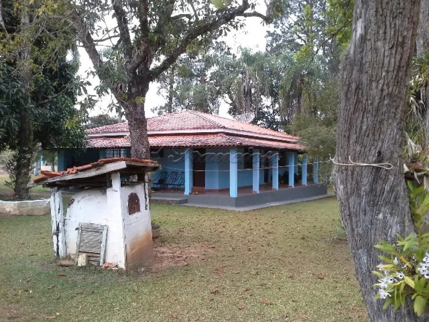 Fazenda / Haras com 2 quartos à venda, 13272m2 em Itapetininga - SP - imagem 7 Foto 7 de Fazenda / Haras com 2 quartos à venda, 13272m2 em Itapetininga - SP