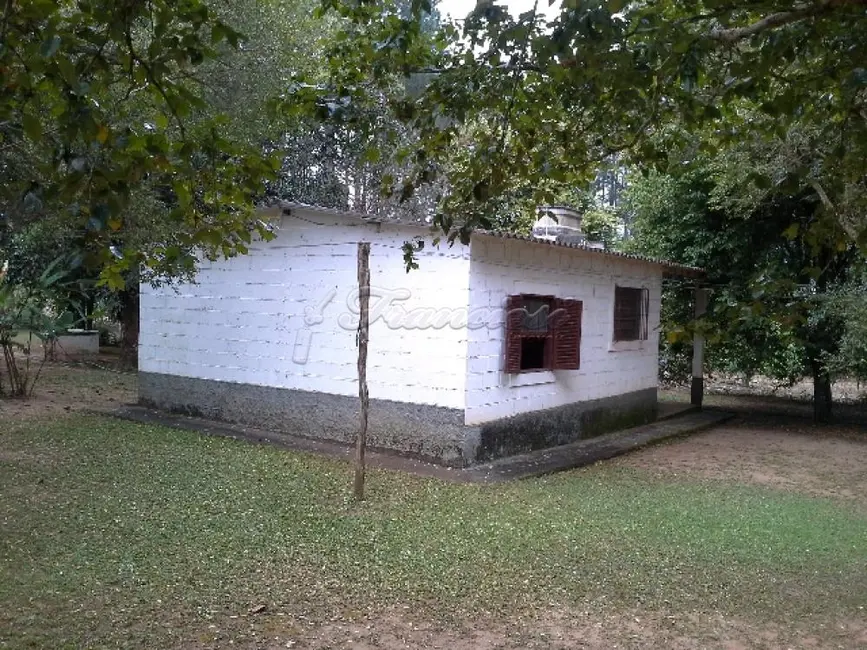 Fazenda / Haras com 2 quartos à venda, 13272m2 em Itapetininga - SP - imagem 3 Foto 3 de Fazenda / Haras com 2 quartos à venda, 13272m2 em Itapetininga - SP