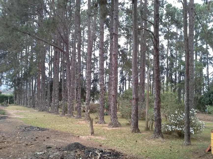 Fazenda / Haras com 2 quartos à venda, 13272m2 em Itapetininga - SP - imagem 8 Foto 8 de Fazenda / Haras com 2 quartos à venda, 13272m2 em Itapetininga - SP