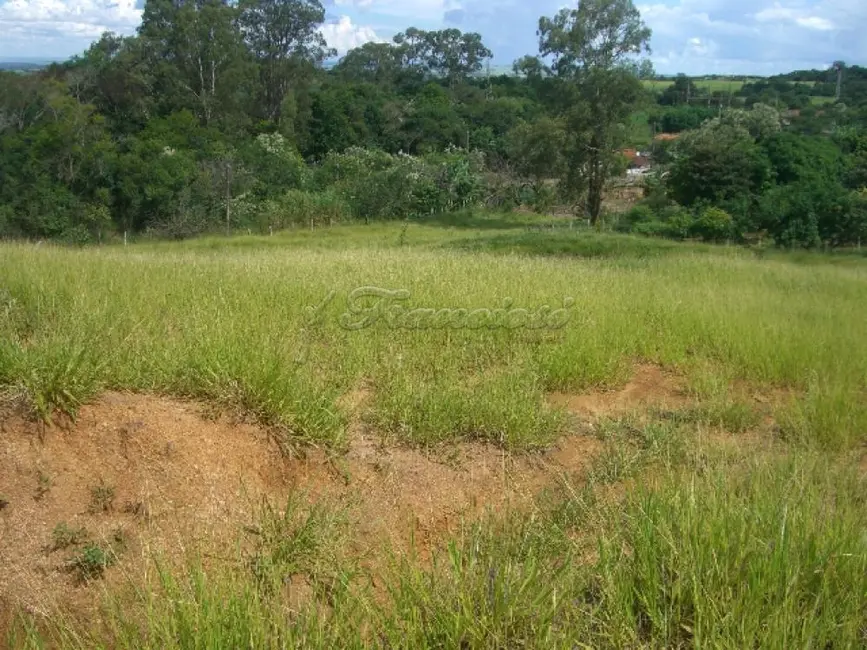 Fazenda / Haras com 6 quartos à venda, 750m2 em Itapetininga - SP - imagem 3 Foto 3 de Fazenda / Haras com 6 quartos à venda, 750m2 em Itapetininga - SP
