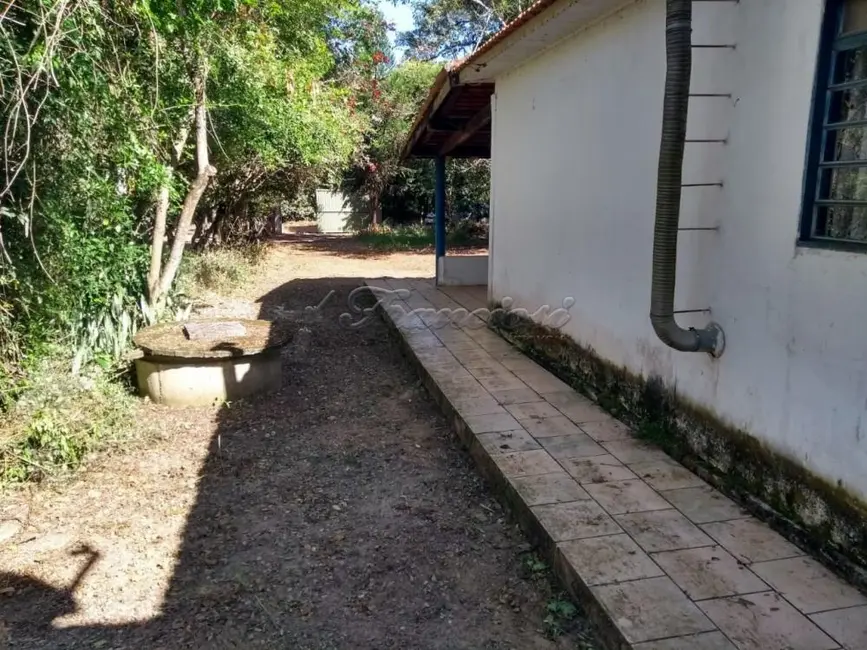 Fazenda / Haras com 2 quartos à venda, 150m2 em Itapetininga - SP - imagem 3 Foto 3 de Fazenda / Haras com 2 quartos à venda, 150m2 em Itapetininga - SP