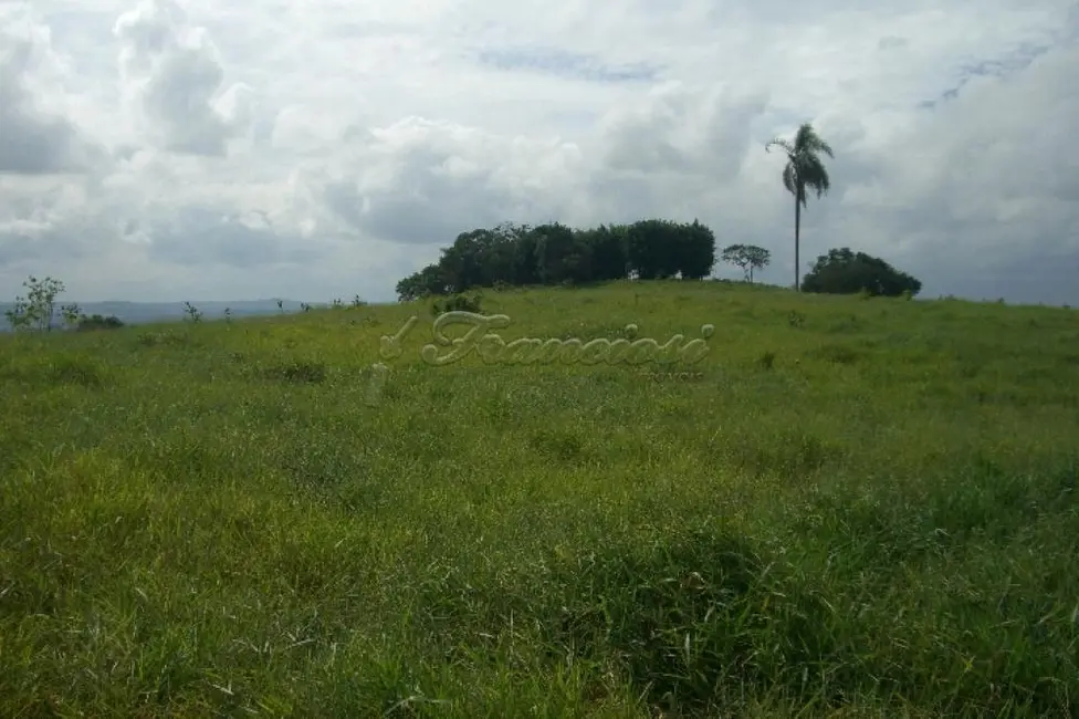 Foto 4 de Fazenda / Haras à venda, 20000m2 em Angatuba - SP