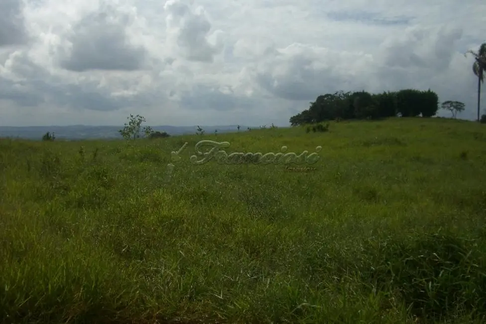 Foto 5 de Fazenda / Haras à venda, 20000m2 em Angatuba - SP