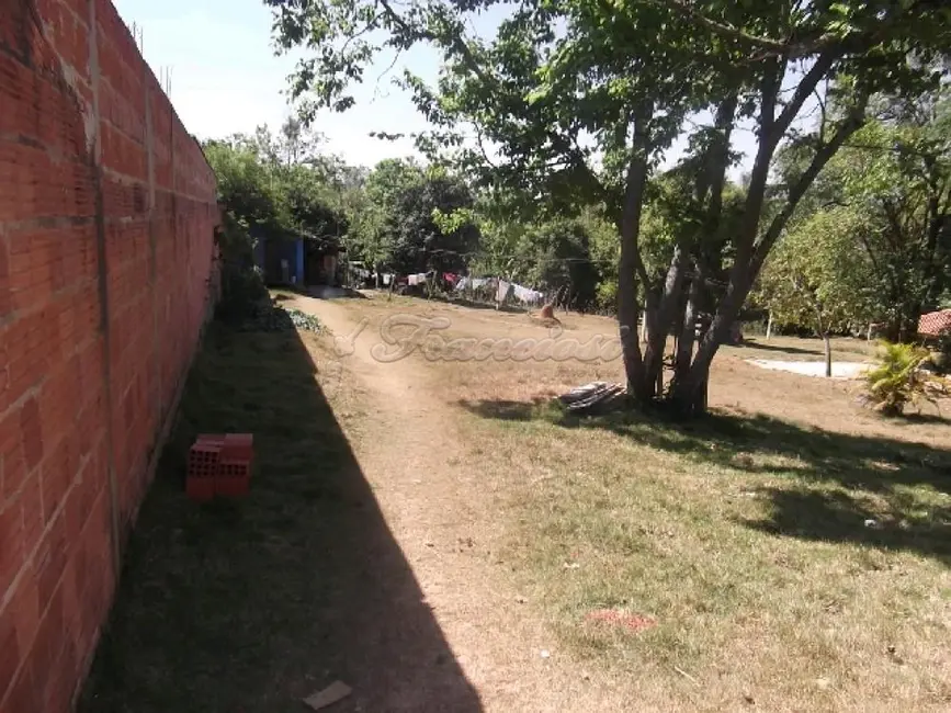 Fazenda / Haras com 3 quartos à venda, 16807m2 em Vila Belo Horizonte, Itapetininga - SP - imagem 4 Foto 4 de Fazenda / Haras com 3 quartos à venda, 16807m2 em Vila Belo Horizonte, Itapetininga - SP