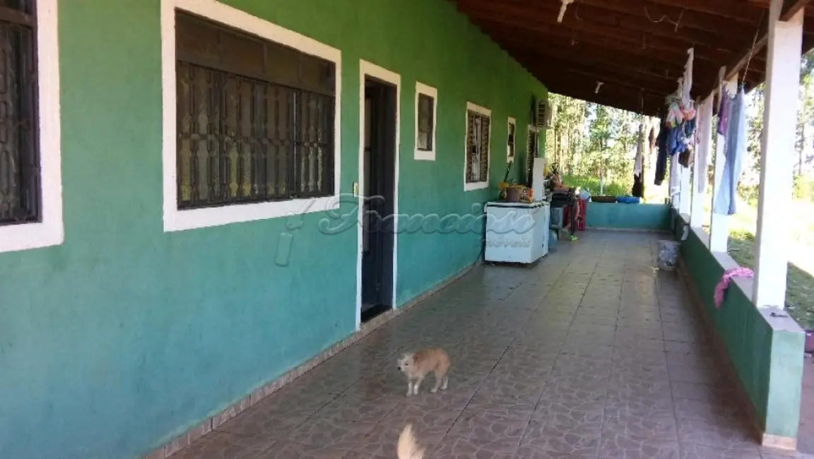 Fazenda / Haras com 2 quartos à venda, 100m2 em Mato Seco, Itapetininga - SP - imagem 4 Foto 4 de Fazenda / Haras com 2 quartos à venda, 100m2 em Mato Seco, Itapetininga - SP
