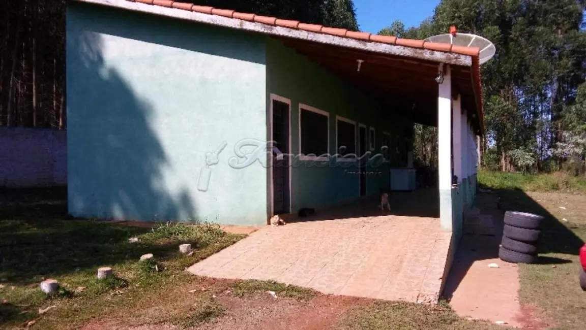 Fazenda / Haras com 2 quartos à venda, 100m2 em Mato Seco, Itapetininga - SP - imagem 2 Foto 2 de Fazenda / Haras com 2 quartos à venda, 100m2 em Mato Seco, Itapetininga - SP
