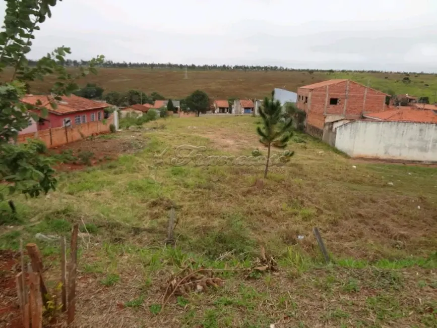 Foto 2 de Fazenda / Haras à venda, 2500m2 em Vila Belo Horizonte, Itapetininga - SP