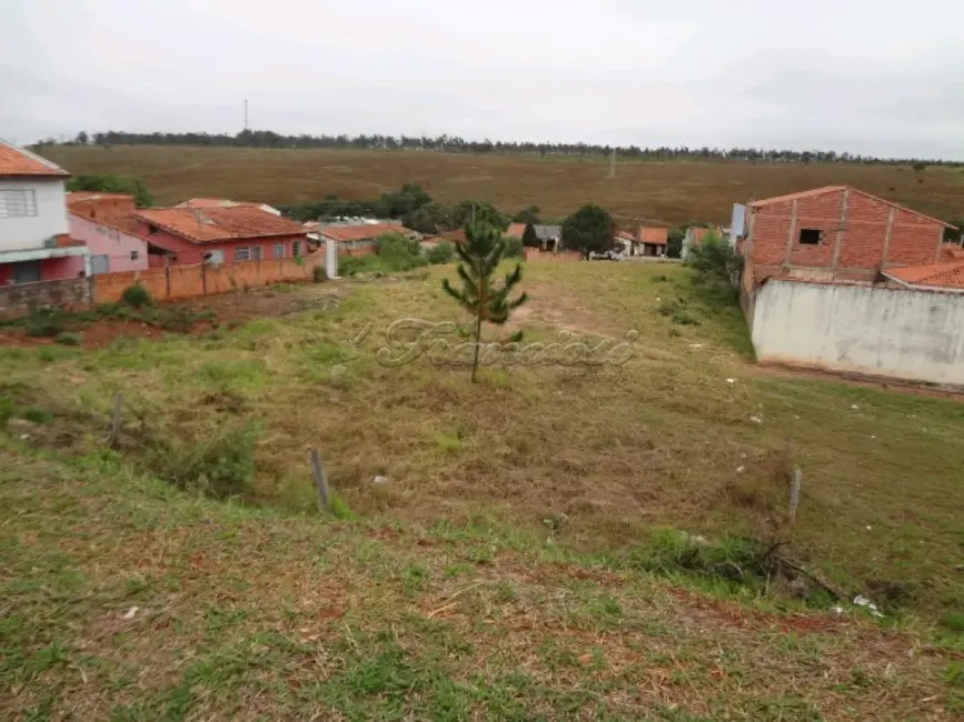 Foto 1 de Fazenda / Haras à venda, 2500m2 em Vila Belo Horizonte, Itapetininga - SP