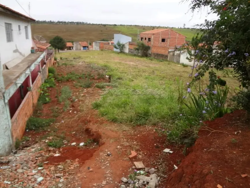 Fazenda / Haras à venda, 2500m2 em Vila Belo Horizonte, Itapetininga - SP - imagem 3 Foto 3 de Fazenda / Haras à venda, 2500m2 em Vila Belo Horizonte, Itapetininga - SP