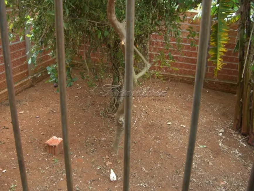 Foto 9 de Casa com 1 quarto à venda, 150m2 em Jardim das Flores, Itapetininga - SP