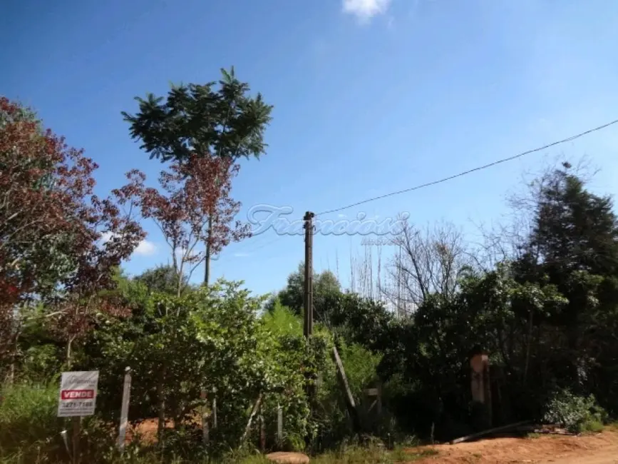 Foto 1 de Fazenda / Haras à venda, 13100m2 em Vila Progresso, Itapetininga - SP