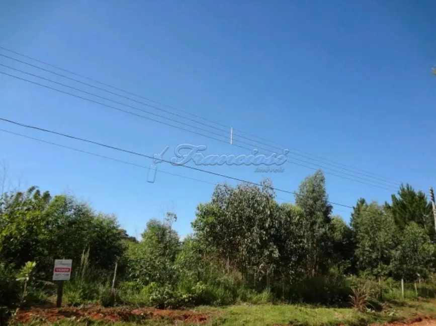 Fazenda / Haras à venda, 13100m2 em Vila Progresso, Itapetininga - SP - imagem 4 Foto 4 de Fazenda / Haras à venda, 13100m2 em Vila Progresso, Itapetininga - SP