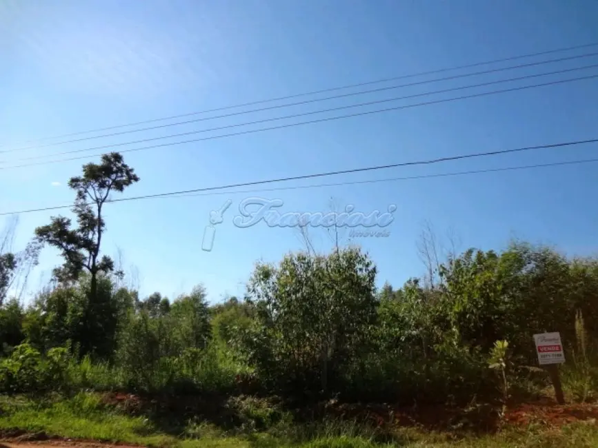 Fazenda / Haras à venda, 13100m2 em Vila Progresso, Itapetininga - SP - imagem 5 Foto 5 de Fazenda / Haras à venda, 13100m2 em Vila Progresso, Itapetininga - SP