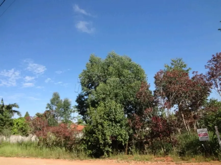 Foto 2 de Fazenda / Haras à venda, 13100m2 em Vila Progresso, Itapetininga - SP