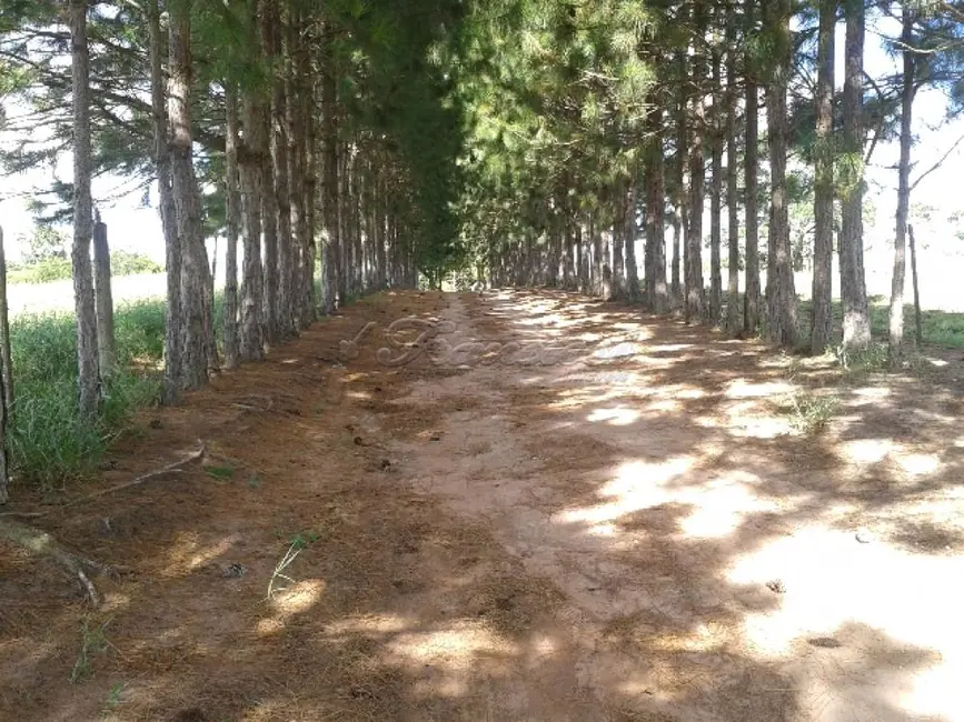 Fazenda / Haras com 4 quartos à venda, 411400m2 em Itapetininga - SP - imagem 4 Foto 4 de Fazenda / Haras com 4 quartos à venda, 411400m2 em Itapetininga - SP