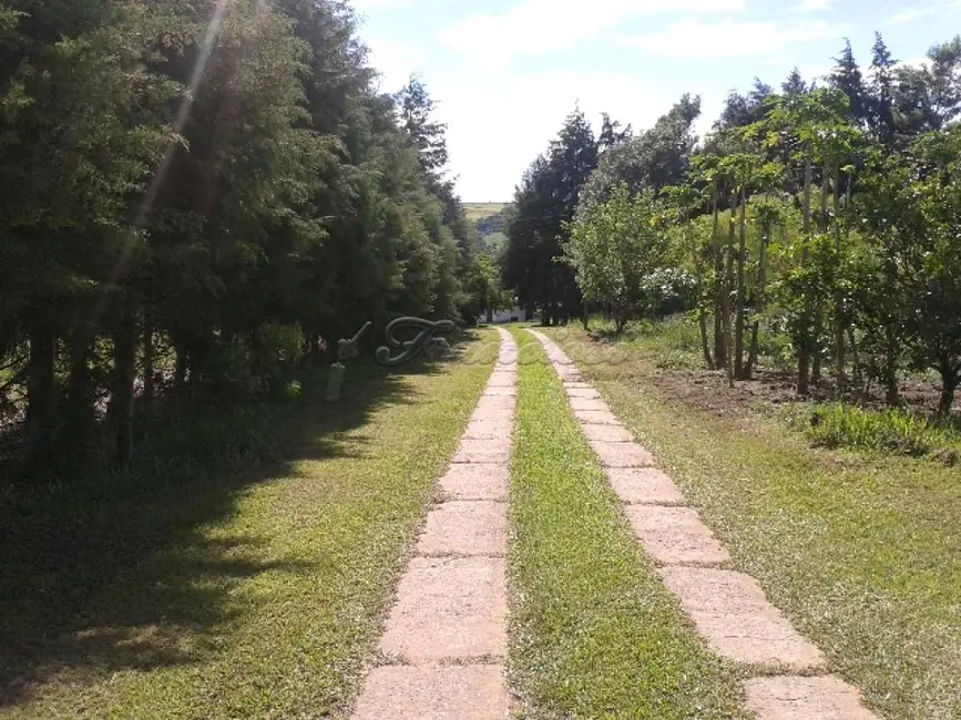 Fazenda / Haras com 4 quartos à venda, 411400m2 em Itapetininga - SP - imagem 6 Foto 6 de Fazenda / Haras com 4 quartos à venda, 411400m2 em Itapetininga - SP