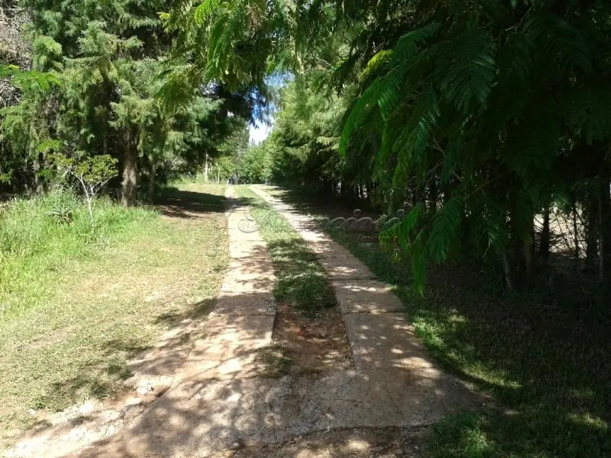 Fazenda / Haras com 4 quartos à venda, 411400m2 em Itapetininga - SP - imagem 8 Foto 8 de Fazenda / Haras com 4 quartos à venda, 411400m2 em Itapetininga - SP
