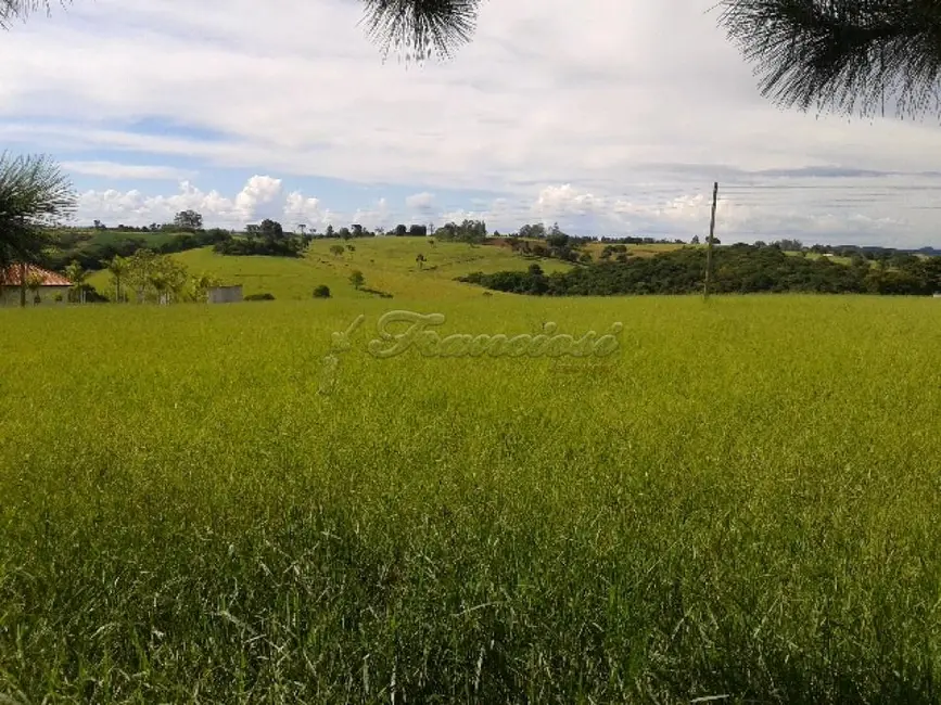Fazenda / Haras com 4 quartos à venda, 411400m2 em Itapetininga - SP - imagem 3 Foto 3 de Fazenda / Haras com 4 quartos à venda, 411400m2 em Itapetininga - SP