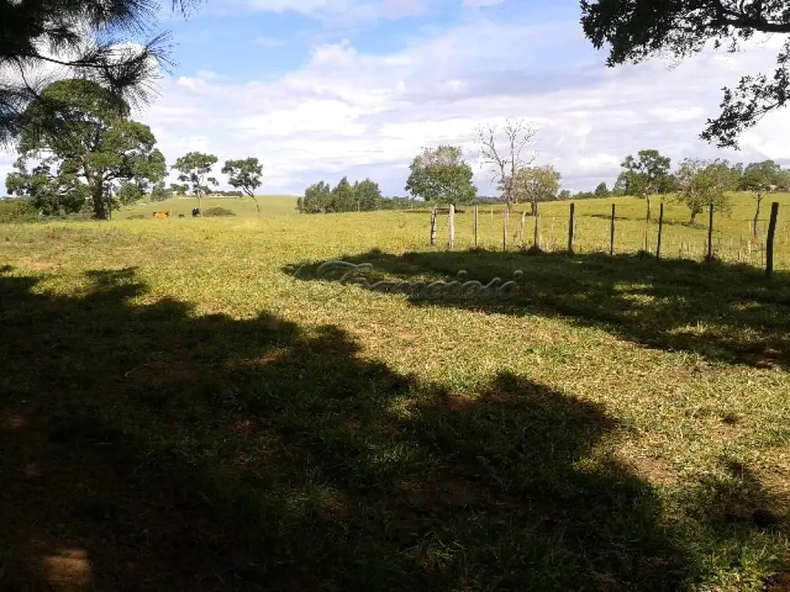 Foto 1 de Fazenda / Haras com 4 quartos à venda, 411400m2 em Itapetininga - SP