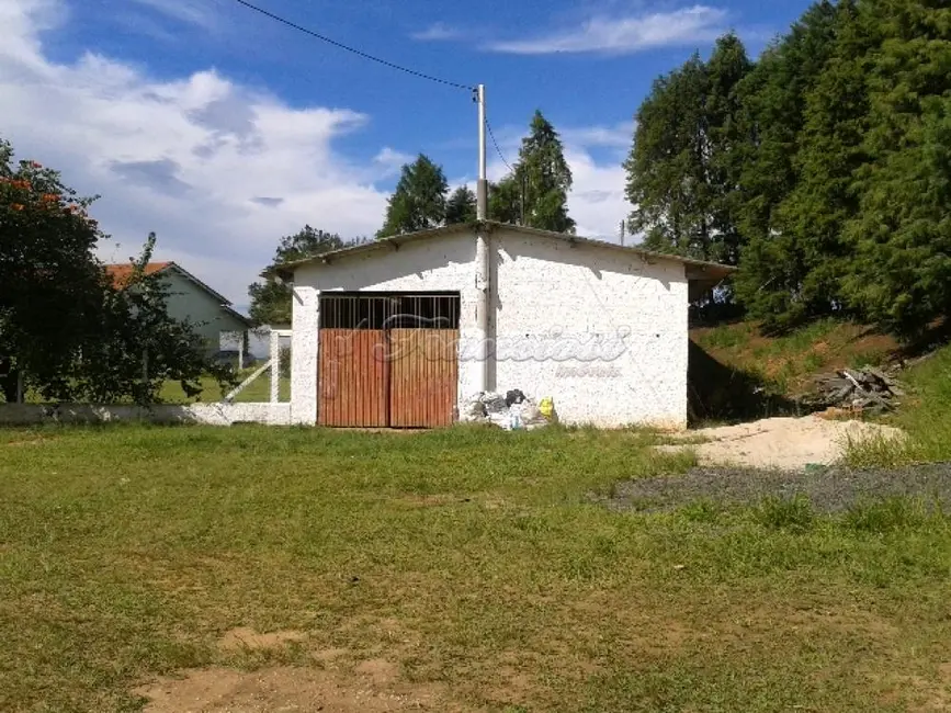 Fazenda / Haras com 4 quartos à venda, 411400m2 em Itapetininga - SP - imagem 9 Foto 9 de Fazenda / Haras com 4 quartos à venda, 411400m2 em Itapetininga - SP