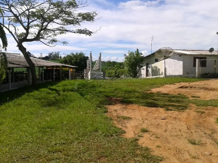 Fazenda / Haras com 4 quartos à venda, 411400m2 em Itapetininga - SP - imagem 7 Foto 7 de Fazenda / Haras com 4 quartos à venda, 411400m2 em Itapetininga - SP