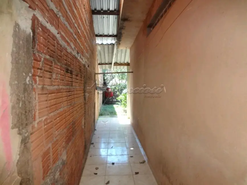 Casa com 3 quartos à venda, 500m2 em Jardim Monte Santo, Itapetininga - SP - imagem 7 Foto 7 de Casa com 3 quartos à venda, 500m2 em Jardim Monte Santo, Itapetininga - SP
