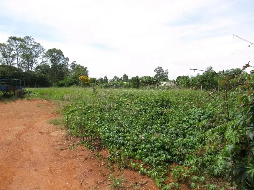 Foto 3 de Fazenda / Haras com 2 quartos à venda, 1000m2 em Vila Sottemo, Itapetininga - SP