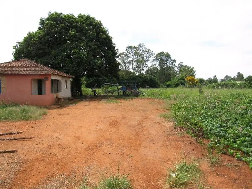 Foto 4 de Fazenda / Haras com 2 quartos à venda, 1000m2 em Vila Sottemo, Itapetininga - SP