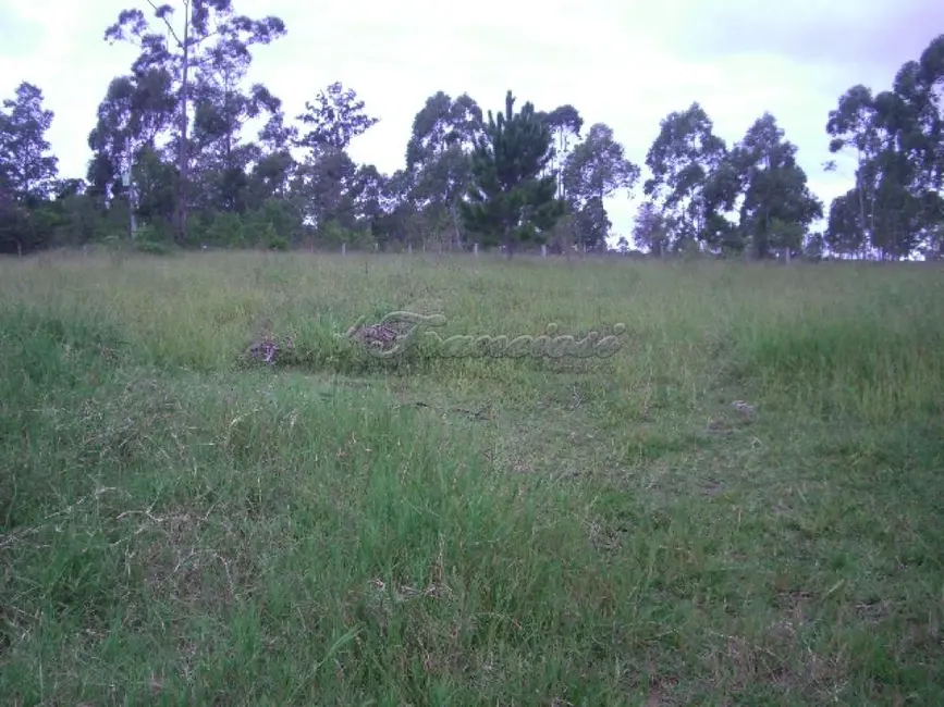 Foto 4 de Fazenda / Haras à venda, 3000m2 em Mato Seco, Itapetininga - SP