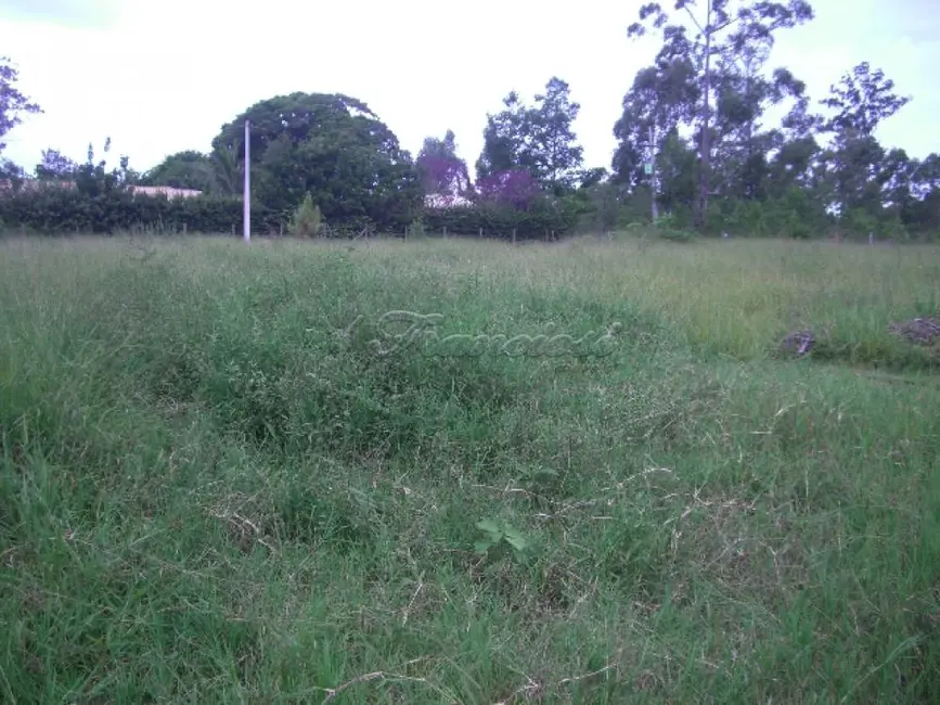 Foto 5 de Fazenda / Haras à venda, 3000m2 em Mato Seco, Itapetininga - SP