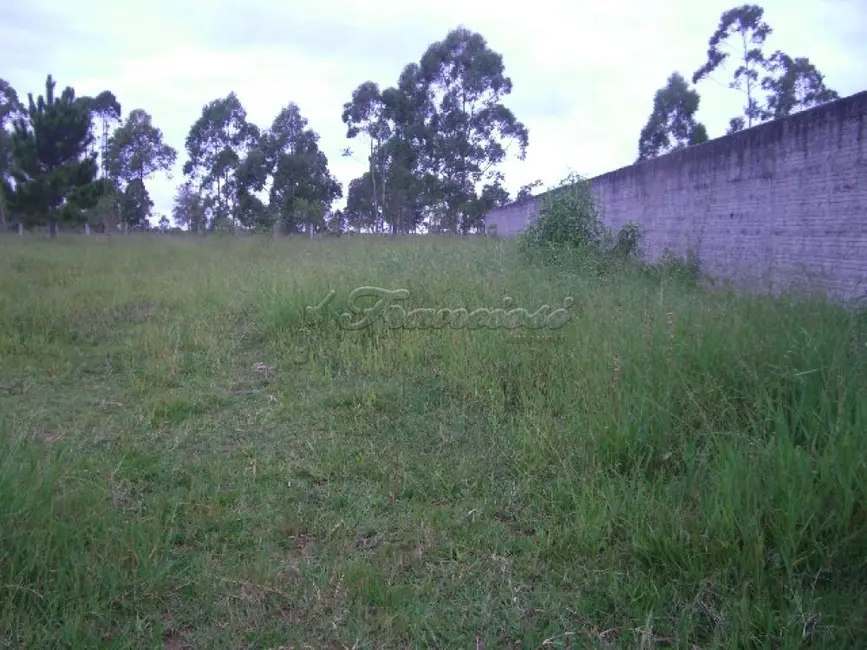 Foto 3 de Fazenda / Haras à venda, 3000m2 em Mato Seco, Itapetininga - SP