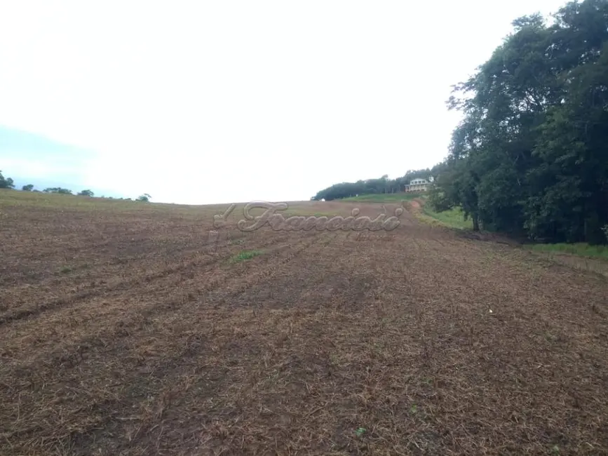 Foto 3 de Fazenda / Haras com 3 quartos à venda, 188760m2 em Sao Miguel Arcanjo - SP
