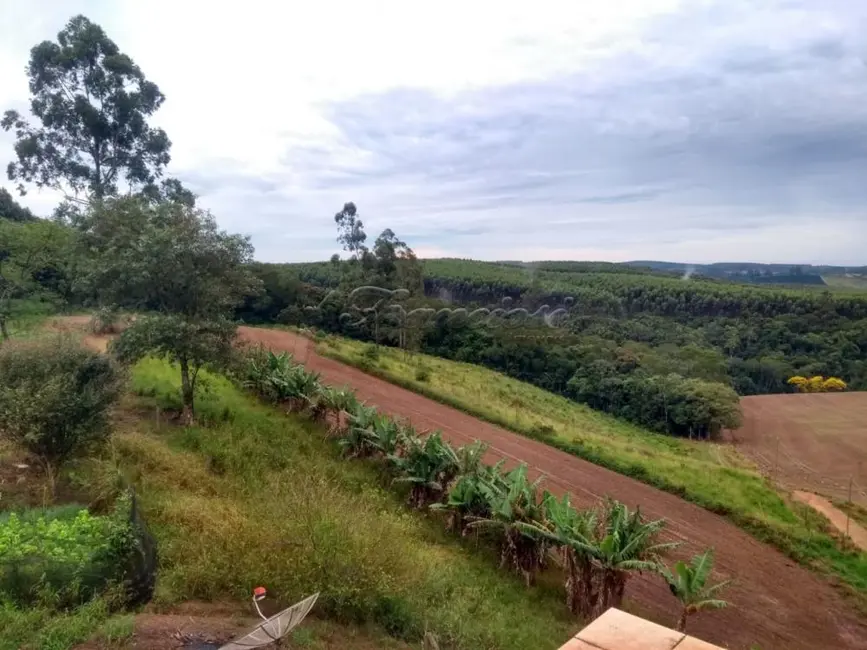 Foto 8 de Fazenda / Haras com 3 quartos à venda, 188760m2 em Sao Miguel Arcanjo - SP