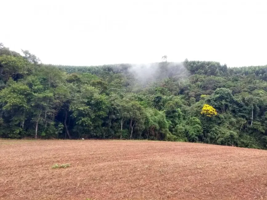 Foto 6 de Fazenda / Haras com 3 quartos à venda, 188760m2 em Sao Miguel Arcanjo - SP