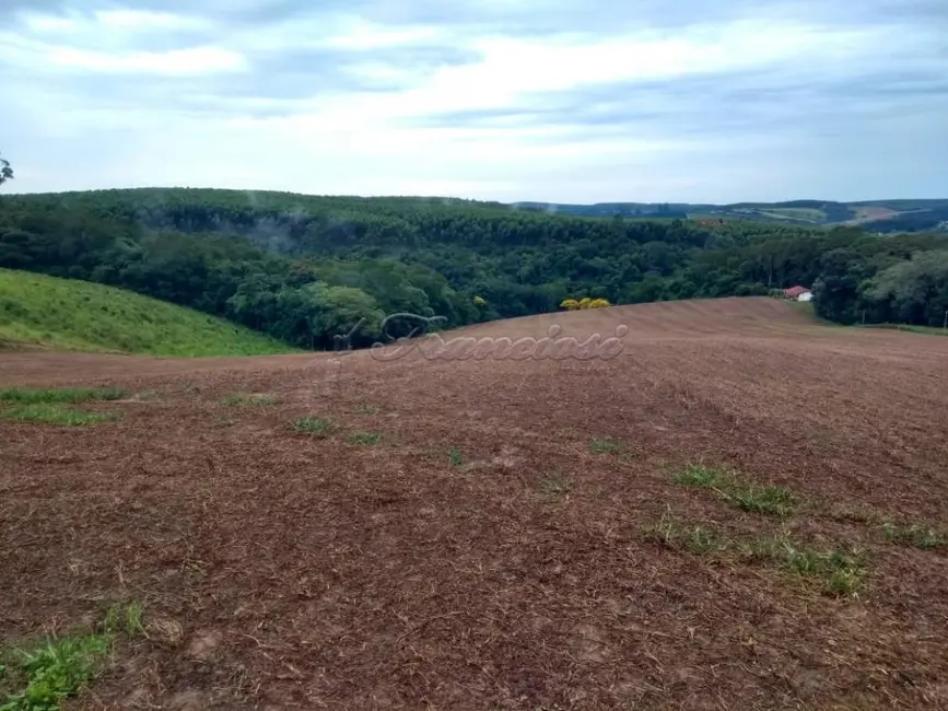 Foto 7 de Fazenda / Haras com 3 quartos à venda, 188760m2 em Sao Miguel Arcanjo - SP
