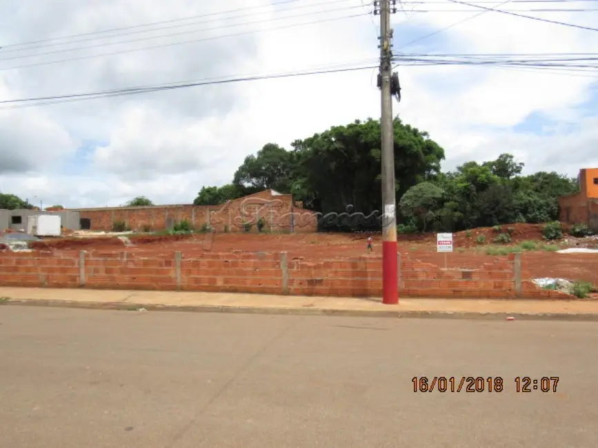 Fazenda / Haras à venda, 1000m2 em Vila Mazzei, Itapetininga - SP - imagem 3 Foto 3 de Fazenda / Haras à venda, 1000m2 em Vila Mazzei, Itapetininga - SP