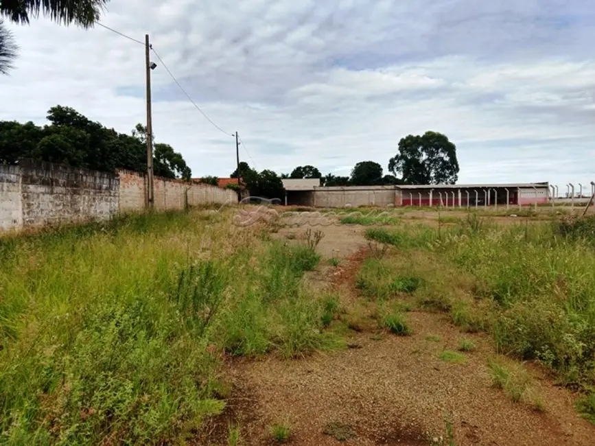 Sala Comercial à venda, 187m2 em Retiro Santana, Itapetininga - SP - imagem 6 Foto 6 de Sala Comercial à venda, 187m2 em Retiro Santana, Itapetininga - SP