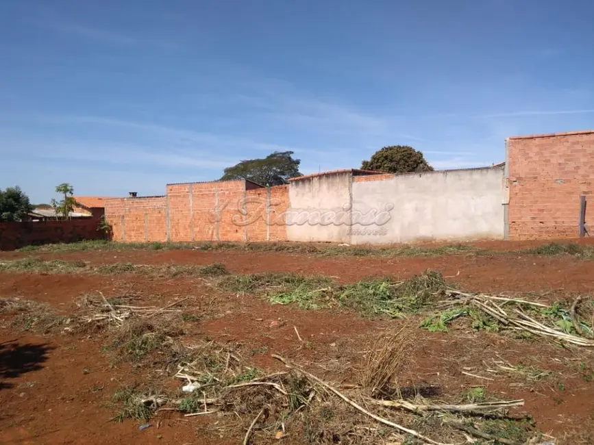 Foto 6 de Fazenda / Haras à venda, 1024m2 em Vila Mazzei, Itapetininga - SP