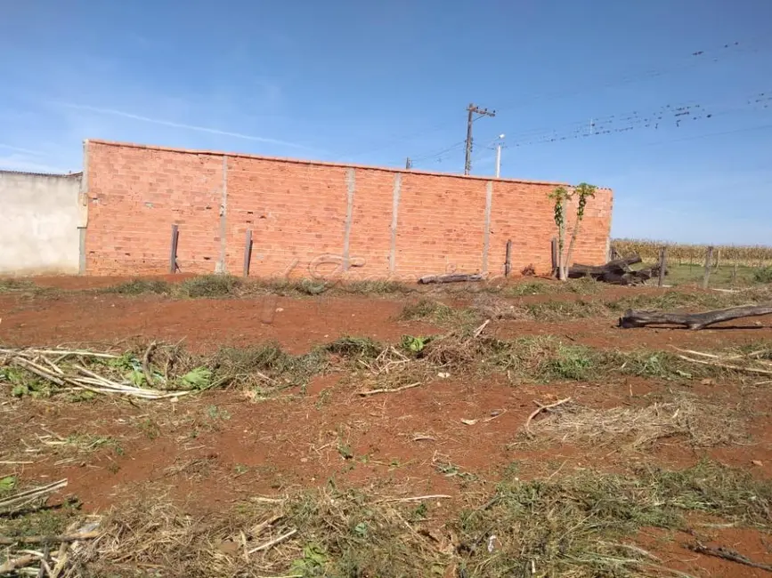 Foto 7 de Fazenda / Haras à venda, 1024m2 em Vila Mazzei, Itapetininga - SP