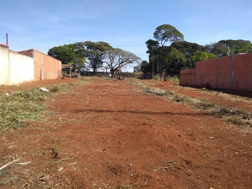 Foto 5 de Fazenda / Haras à venda, 1024m2 em Vila Mazzei, Itapetininga - SP