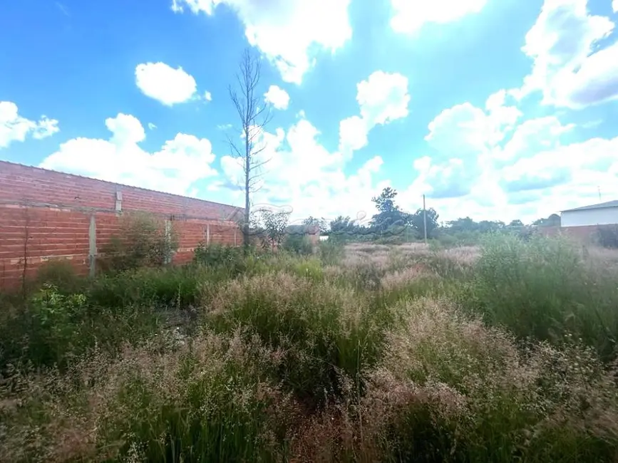 Fazenda / Haras à venda, 2889m2 em Vila Sottemo, Itapetininga - SP - imagem 3 Foto 3 de Fazenda / Haras à venda, 2889m2 em Vila Sottemo, Itapetininga - SP