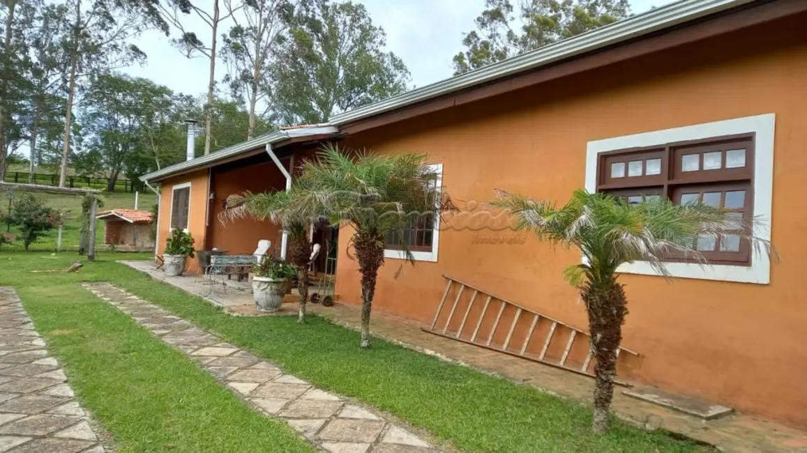 Foto 1 de Fazenda / Haras à venda, 84700m2 em Sarapui - SP