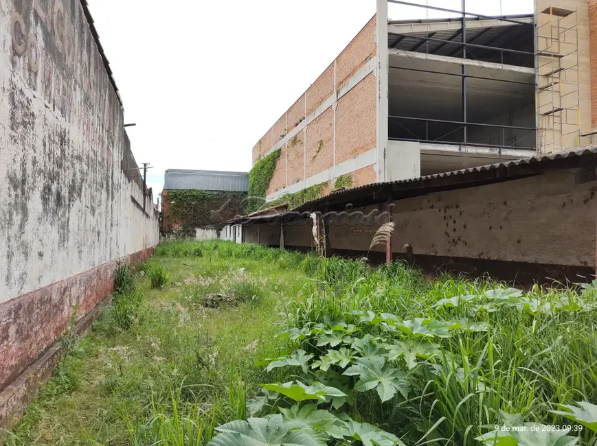 Foto 2 de Fazenda / Haras para alugar, 169m2 em Vila Aparecida, Itapetininga - SP