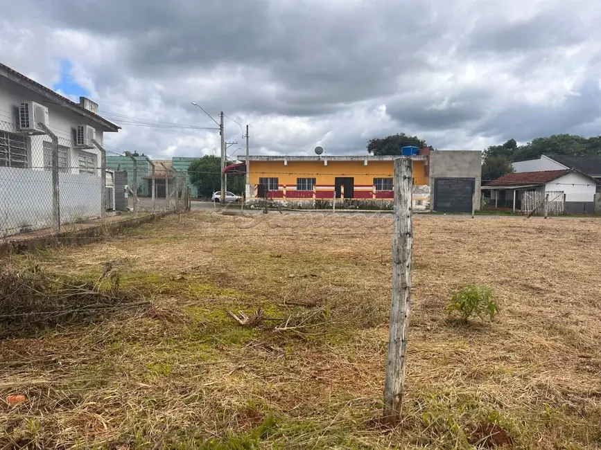 Fazenda / Haras à venda, 694m2 em Itapetininga - SP - imagem 3 Foto 3 de Fazenda / Haras à venda, 694m2 em Itapetininga - SP