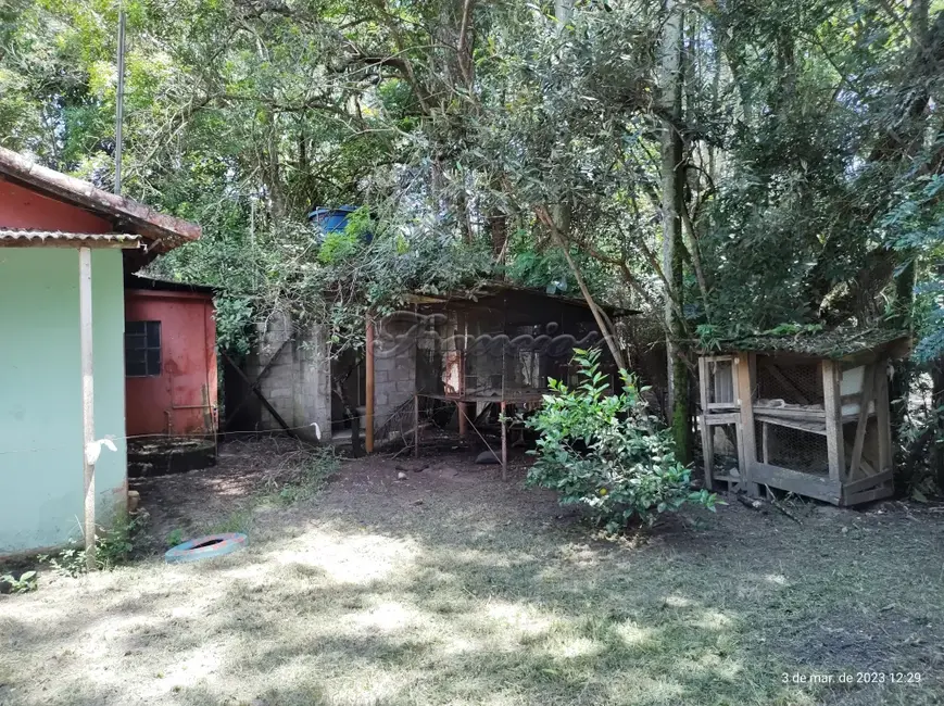 Foto 5 de Fazenda / Haras com 2 quartos à venda, 3600m2 em Itapetininga - SP