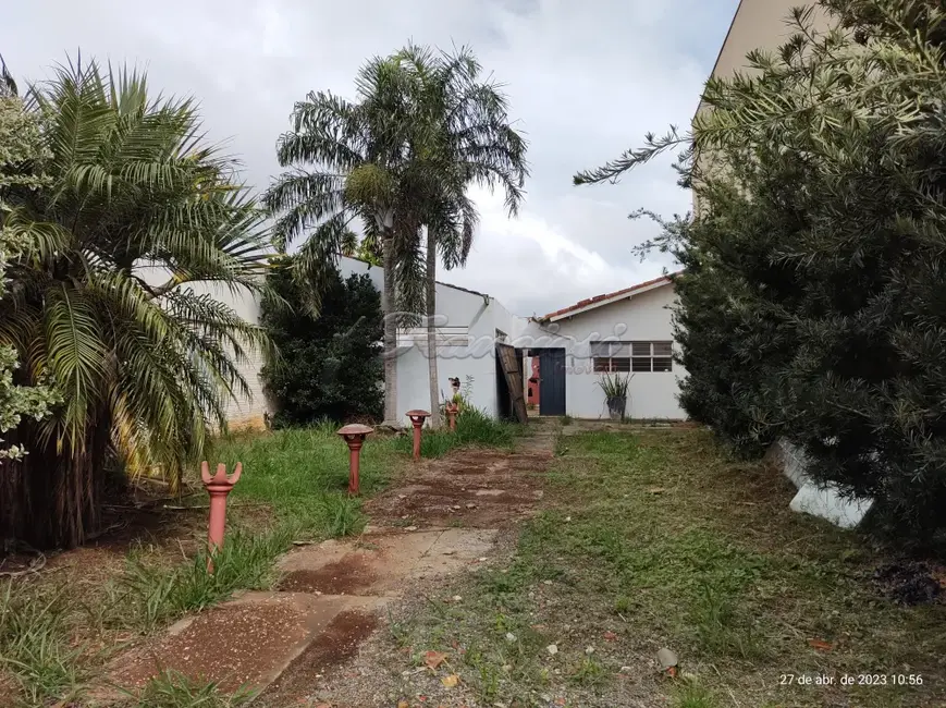 Fazenda / Haras à venda, 420m2 em Vila São Pedro, Itapetininga - SP - imagem 2 Foto 2 de Fazenda / Haras à venda, 420m2 em Vila São Pedro, Itapetininga - SP