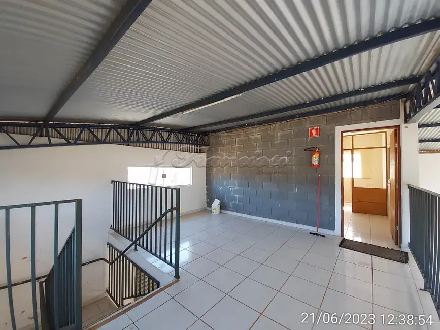 Sala Comercial para alugar, 300m2 em Retiro Santana, Itapetininga - SP - imagem 7 Foto 7 de Sala Comercial para alugar, 300m2 em Retiro Santana, Itapetininga - SP