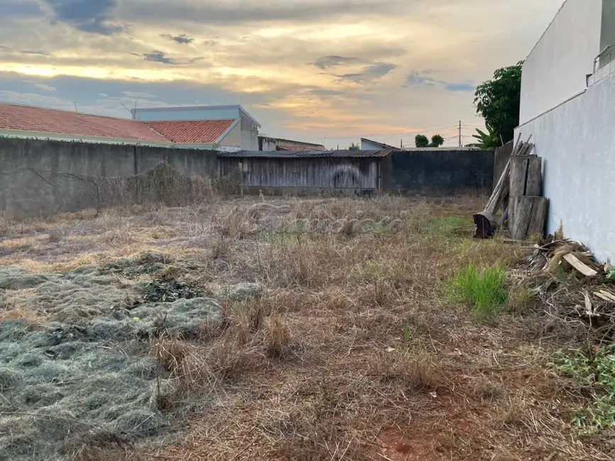 Foto 1 de Fazenda / Haras à venda, 450m2 em Itapetininga - SP