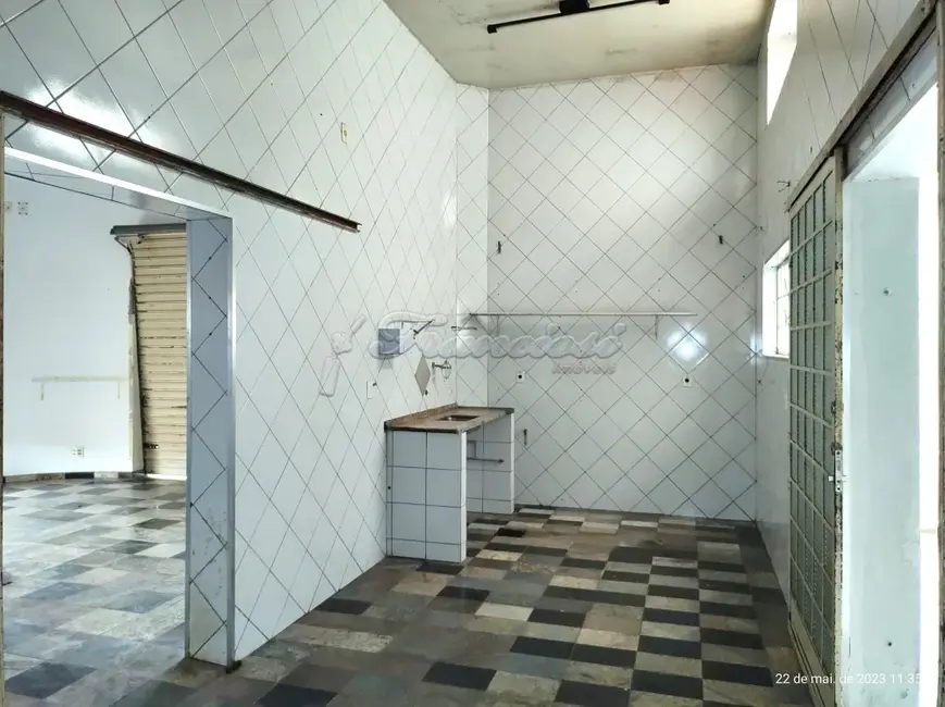 Foto 7 de Prédio Inteiro para alugar, 50m2 em Vila Carolina, Itapetininga - SP